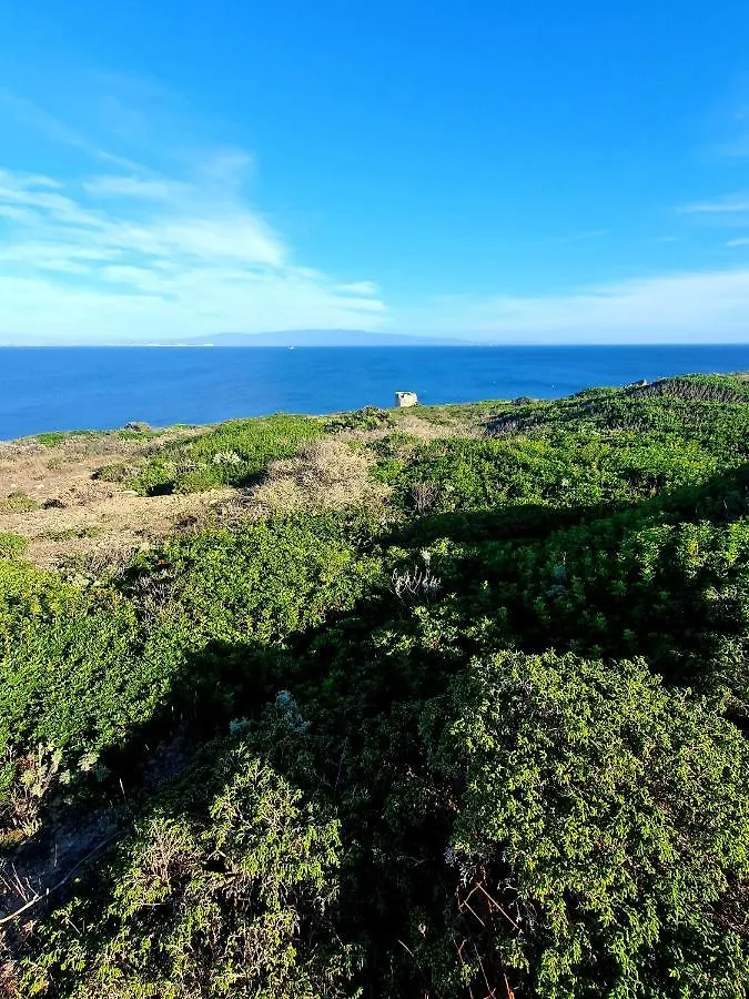 Bed & Breakfast Palmas Anna'S Rooms Is Procilis Palmas Arborea Italy