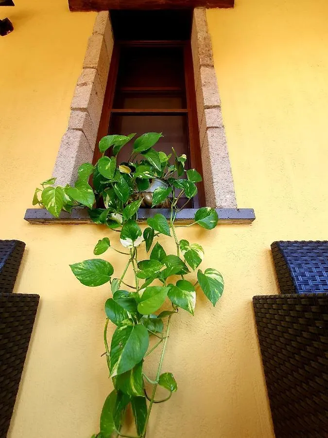 Bed and Breakfast Palmas Anna'S Rooms Is Procilis Palmas Arborea