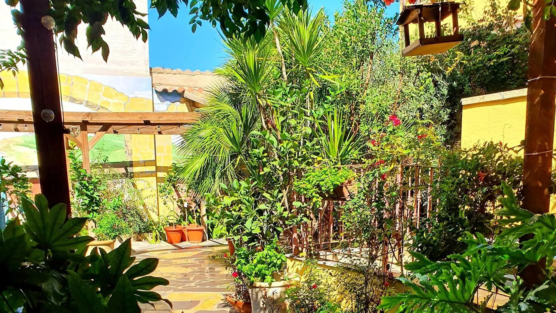 Bed & Breakfast Palmas Anna'S Rooms Is Procilis Palmas Arborea